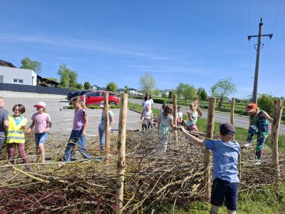 Projekt Streuobstwiese