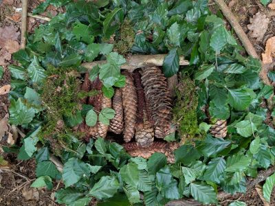 Unvergessliche Naturerlebnisse