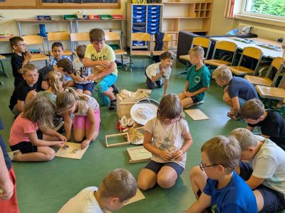 Bienenworkshop