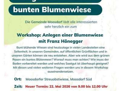 Workshop: Vom grünen Rasen zur bunten Blumenwiese